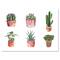 Designart - Flowers In A Pot Cacti and Succulents - Traditional Canvas Wall Art Print